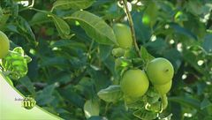 Puntata del 16 febbraio