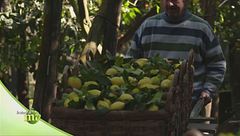 Puntata dell'8 marzo