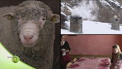 Fattoria del Gran Paradiso