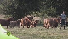 Puntata del 6 settembre