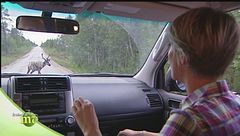 Puntata del 13 settembre