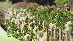 Puntata del 27 settembre