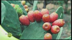 Puntata del 22 novembre