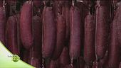 Lo Boudin