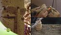Arte su sughero