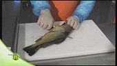Trote e salmerini a tavola