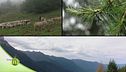 Custodi della montagna