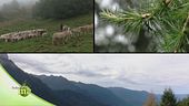 Custodi della montagna