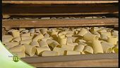 Pasta di semole di grano duro