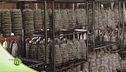 Il salame di suino a punta di coltello