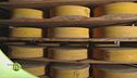 La stagionatura del formaggio Branzi