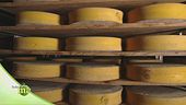 La stagionatura del formaggio Branzi