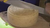 Dal latte ai formaggi, con amore