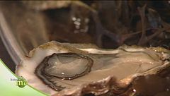 La depurazione e il confezionamento