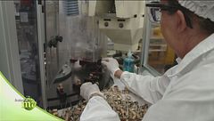 Il confezionamento, l'ultimo step