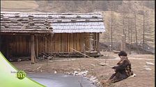 Caccia e pesca al tempo di Otzi