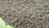 Il mondo dei confetti