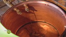 La distillazione del cognac