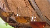 Cognac, il momento giusto per lasciare le botti