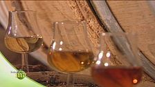 Cognac, il momento giusto per lasciare le botti
