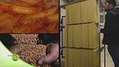 Il processo di essicazione della pasta