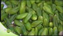 Il pistacchio di Bronte