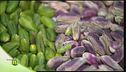 Le varie qualità di pistacchio