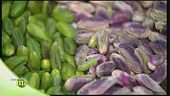 Le varie qualità di pistacchio