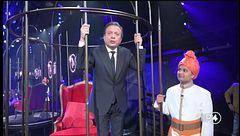 #CR4 - Sotto l'albero