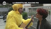 AGRESTI: La vendetta del Pulcino Pio