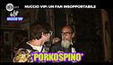 DURO: Nuccio Vip