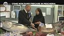 GOLIA: Come non farsi fregare in pescheria