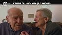 NINA: L'elisir di lunga vita (e d'amore!)
