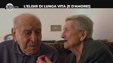 NINA: L'elisir di lunga vita (e d'amore!)