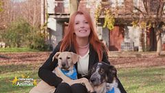 Puntata del 12 gennaio