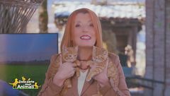 Puntata del 26 gennaio