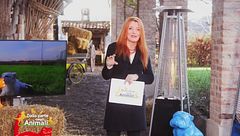 Puntata del 2 febbraio