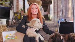 Puntata del 9 febbraio