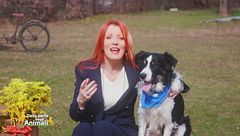 Puntata dell'8 marzo