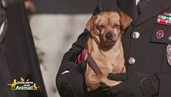 Briciola, un'ospite speciale