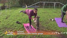 Doga