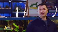 Le curiosità del dog trainer