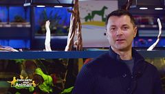 Le curiosità del dog trainer