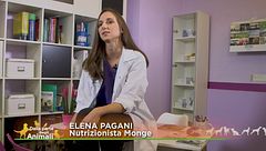 La dieta giusta per un cane molto attivo