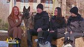 I cani eroi de La lupa di Piacenza