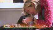 Cookie, il bassotto di Ellen Hidding