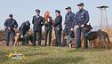 I cani della polizia penitenziaria