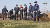 I cani della polizia penitenziaria