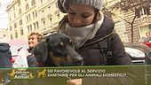 Sei favorevole al servizio sanitario per gli animali domestici?