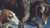 Arte e animali